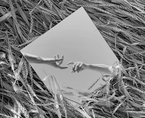 Square mirror lying in wheat, reflecting two hands reaching toward each other